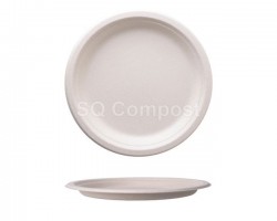What are the applications of bagasse plates?