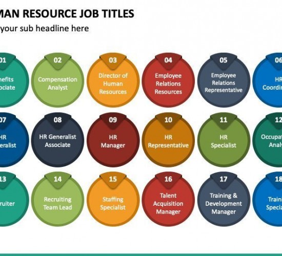 The List of Common HR Job Titles