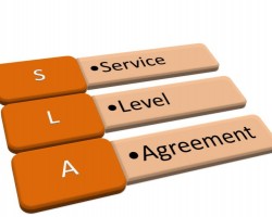 IT Service Level Agreements (SLAs) and Performance Measurement