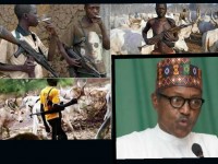 The Clandestine Fulanis Agenda Promoted By Extremists In Buhari's Government By David Adenekan