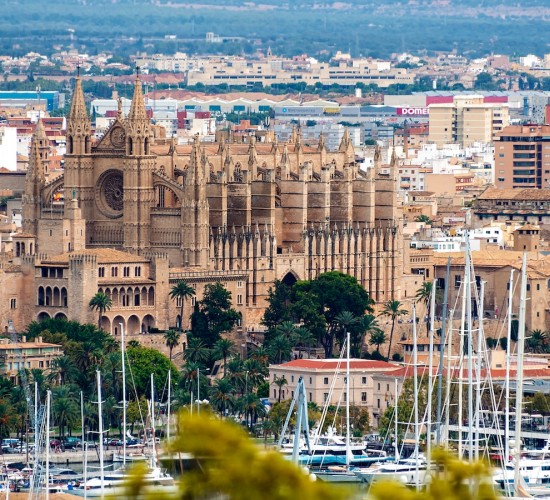 Por qué es necesario trabajar juntos como comunidad en Palma de Mallorca con Clevenard.com.
