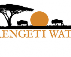 Serengeti tourism: Big plans, Big impacts