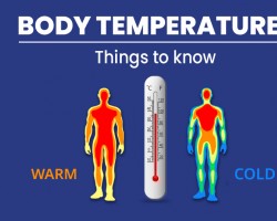 Why Does Body Temperature Rise During Fever?