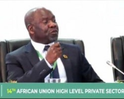 The 14th African Union High-Level Private Sector Forum