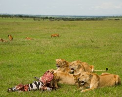 Serengeti National Park
