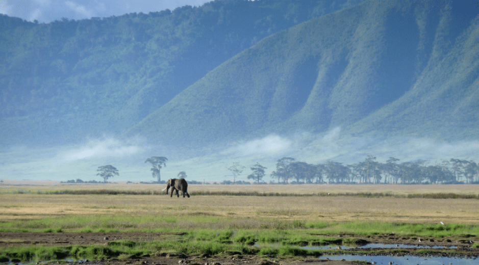 The Ngorongoro Conservation Area (NCA)