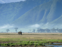 The Ngorongoro Conservation Area (NCA)