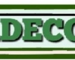 NADECO WILL NOT BE USED AS A POLITICAL TOOL, - DAVID ADENEKAN