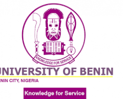 UNIBEN Mayor's Murder: A Shout for Security Architecture's Review