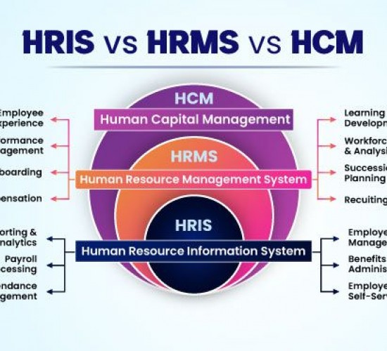 HRIS vs. HRMS vs. HCM Which one do you need the most?