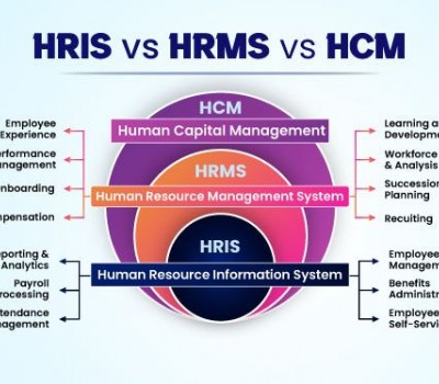 HRIS vs. HRMS vs. HCM Which one do you need the most?