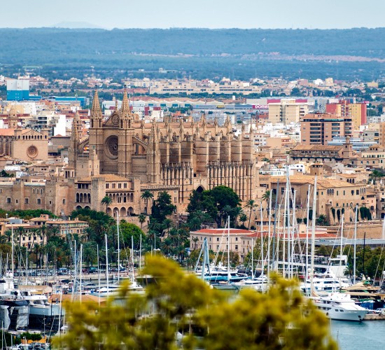 Why Palma de Mallorca is best for tourism?