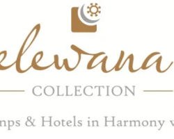 The Elewana Collection Newsletter