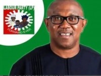 THE ORGANIC PEOPLE'S STRUCTURE THAT WILL STAND THE TEST OF TIME: A Rejoinder To "Peter Obi Has No Party Structure To Contest For The 2023 Presidential Election Under The Labor Party."  By David Adenekan.