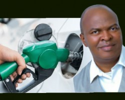 PLEASE STOP IT: A REJOINDER TO " THANK YOU MR. PRESIDENT FOR THE REMOVAL OF OIL SUBSIDY" BY DAVID ADENEKAN.